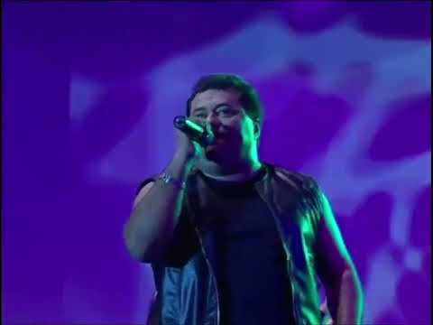 Amor ou amizade - Gatinha Manhosa