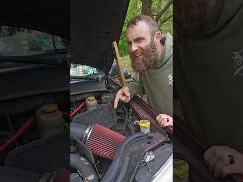 People who think COLD AIR INTAKES are cool.