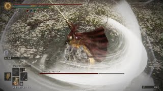 マレニアパリィ道場:竜餐戦士(試行回数一回)