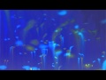School of Seven Bells - How To Love 