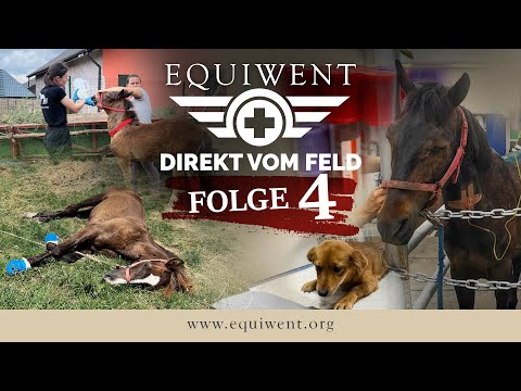 Equiwent - Straight from the Field #4 - Why we're currently groping in the dark