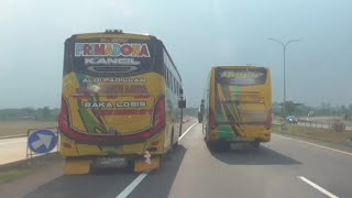 Download lagu Asoy | goyang kiri kanan_Aksi bus Luragung Kancil Vs Hegar mp3