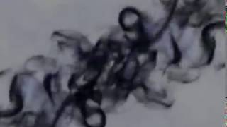 Feu Robertson "Low Future"