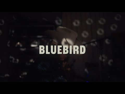 Embla and the Karidotters - Bluebird (Live from a Basement in Oslo)