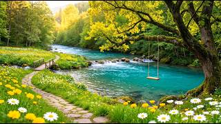 A Quiet Place for Your Mind 🌿 Healing Sounds for Deep Relaxation