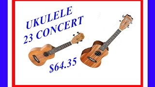 Video thumbnail for UKULELE - DIDUO 23 CONCERT ALIEXPRESS 2017 by Valdas Karklelis