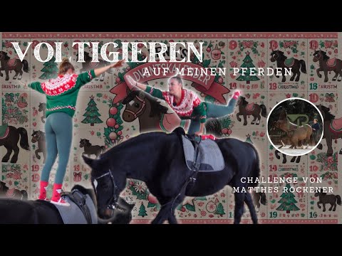 2️⃣2️⃣ VOLTIGIEREN auf Betty 🫣😂 Challenge von @MatthesRoeckener 🤍