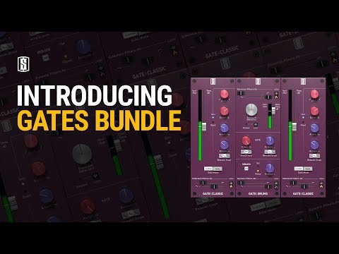 Immagine Slate Digital Gates Bundle (Download) - 2