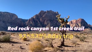 ラスベガスからのday trip★レッドロックキャニオン★トレイル