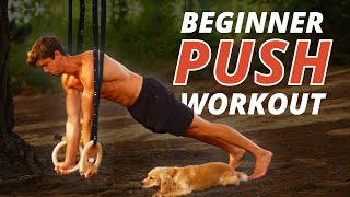 Beginner Rings Push Workout! (SETS & REPS)