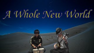 【アラジン】A Whole New World -三線ver.-