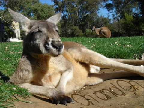 Mackintosh Braun - On and On