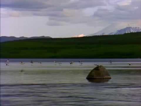 Lauren Mason Ft Wiley .wmv