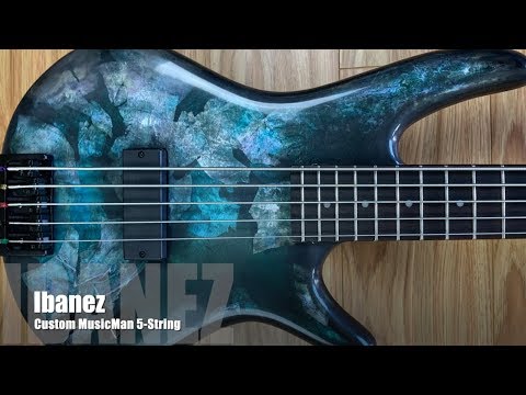 Ibanez  5 String with Bartolini Dual Coil and Custom Finish image 18