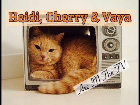 Fun Bedtime Story For Kids | Heidi Cherry & Vaya Are "IN" The TV