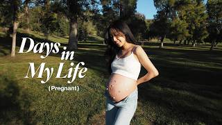 アメリカ在住 妊娠後期 30-39週vlog🎄🛒🎨 | Third Trimester | カリフォルニア ベイエリア 出産
