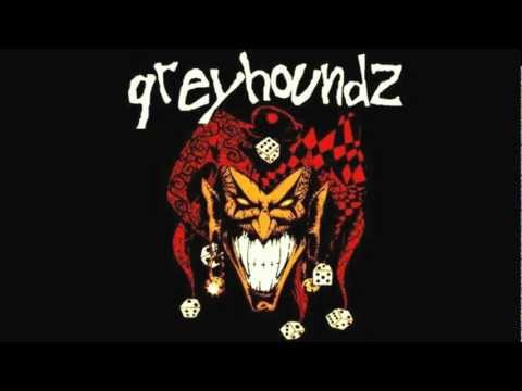 greyhoundz - mr pig
