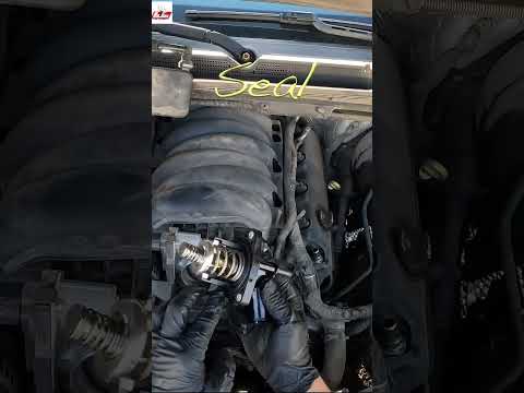 GM 5.3L thermostat replacement #gm #overheatingfix #thermostat
