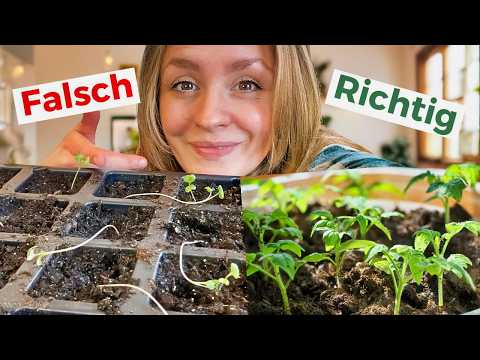 Warum deine Jungpflanzen schwächeln (und wie du sie stark machst!)