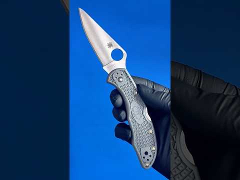 Spyderco Delica Stainless C11P Knife Review | OsoGrandeKnives