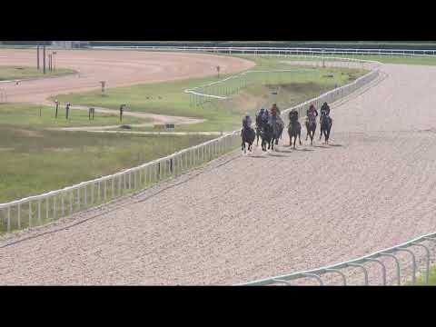 2022.06.12. 08. futam - PIGEON CATCHER HENDIKEP (V/b.) (szintetikus pálya)