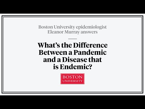 What is an "Endemic" Disease? An Epidemiologist Explains