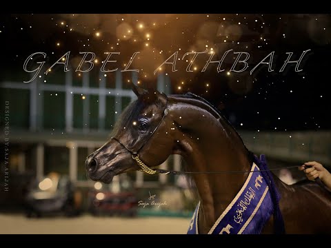 The Champion “Gabel Athbah"