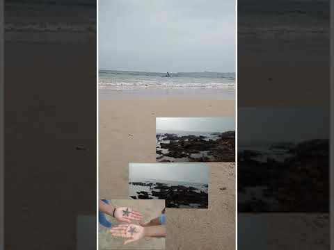 #Malavan........😍 Kokan lovers... .....😘chivla beach...😍nature lovers🤩🤩🤗