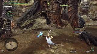 (声あり) モンスターハンターワイルズ　PS5　コメント歓迎です
