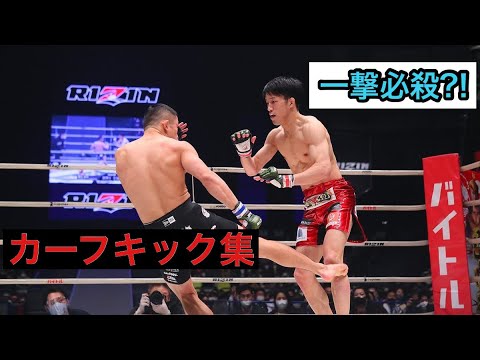 痛すぎる！カーフキック集10選