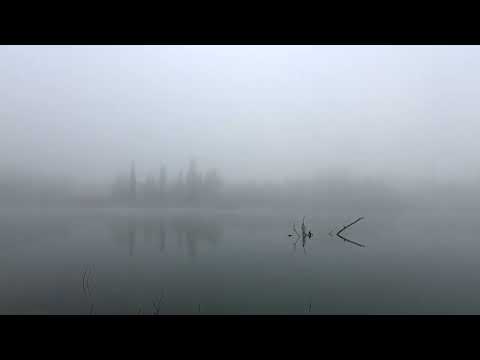 Anteprima video drone 3