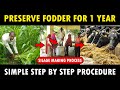 Silage Making Process How To Make Silage For Cows Goats Cattle Feed Making Method