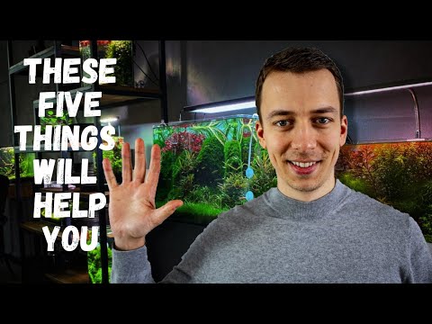5 things YOU NEED TO KNOW before YOU start a PLANTED TANK
