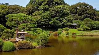 Beautiful Japanese Music - Garden of Peace