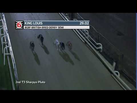 2020 BGBF BRITISH BRED DERBY - 2ND SEMI - T6 KING LOUIS