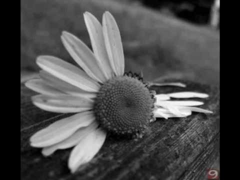 ceza askina bir ceza -sexo ft mistikal ssinan@hotmail.de