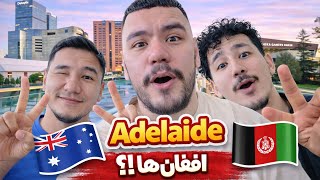 👉 Adelaide افغان‌ها؟! 😳 | قسمت ۲ شهر Adelaide استرالیا 🇦🇺