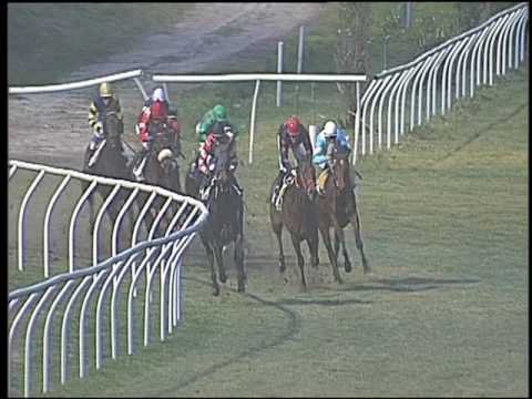 Galoppo 04/02/2017 - 4ª corsa