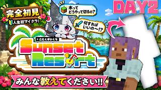 〘Minecraft / DAY2〙１ミリも知らない初心者がスキンを作る #ことくまいくら
