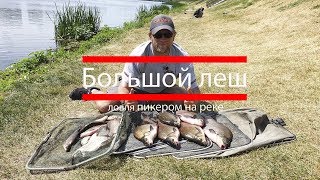 Канал виталия колганова фидер