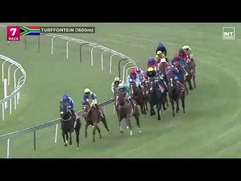 2023.02.04  Gauteng Guineas (RSA) - Eye of the Prophet