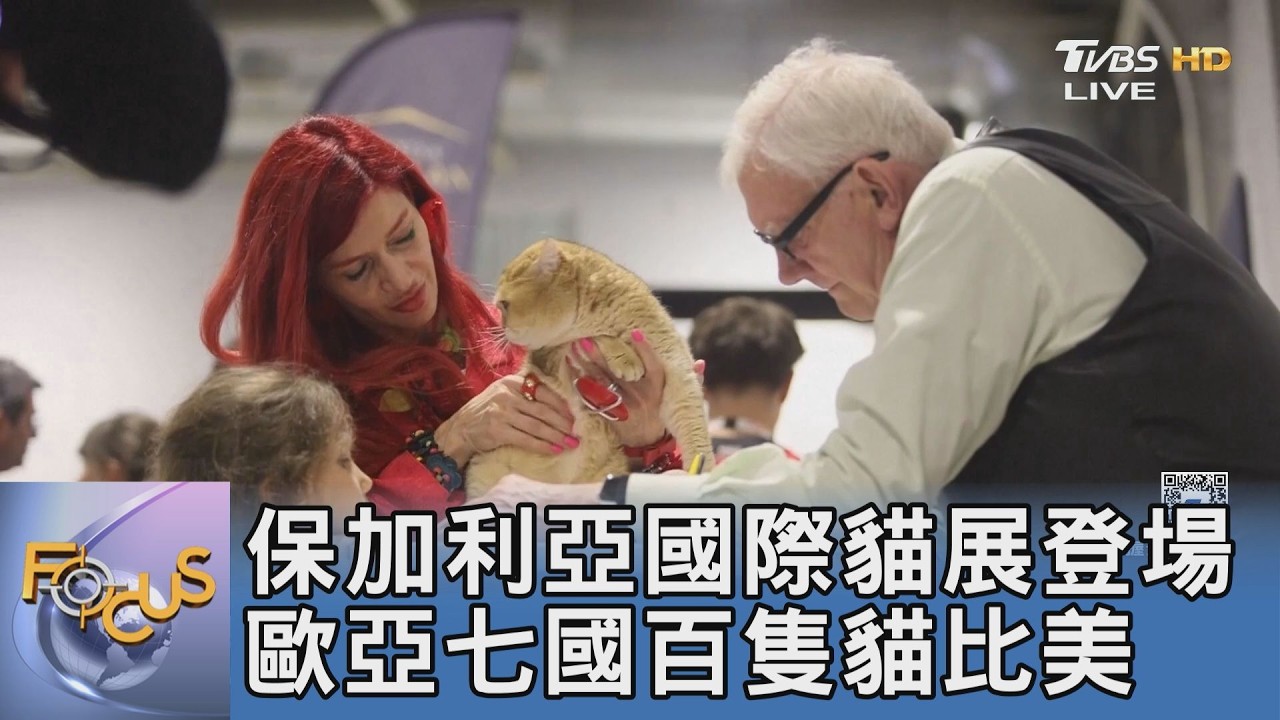 保加利亞150隻名貓比美 官方推晶片新制邁向數據化管理