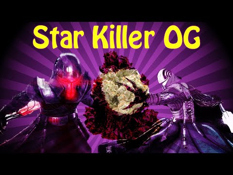 Rare Dankness Star Killer OG | Abusive OG Bubble Hash @trichomeheavyextracts7715