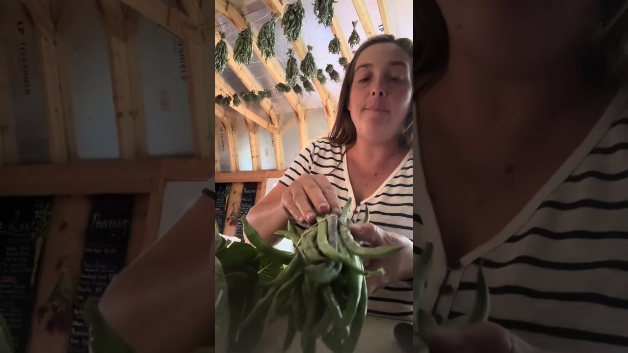 Fall CSA week 1 2024 Welcome!