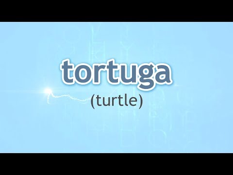 How to Pronounce Turtle (Tortuga) in Spanish