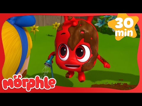 Muddy Morphle Takes A Bath | Morphle | Cars, Trucks & Vehicles Cartoon | Moonbug Kids