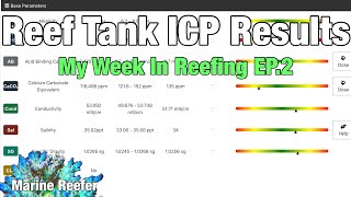 Reef Tank ICP Results | My Week in Reefing EP.2