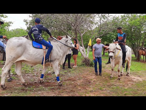 GRANDE CAVALGADA EM PACUJA CEARÁ 08/02/26