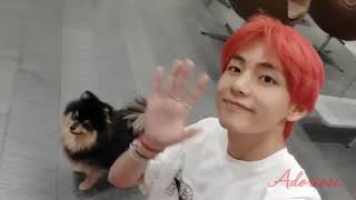 Kim Taehyung and lovely Yeontan  (Fmv)