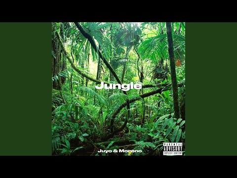 Jungle